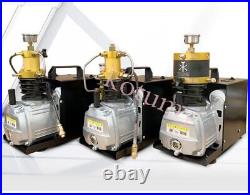220V/110V 4500Psi 300Bar 30Mpa PCP Air Compressor High Pressure Pump Inflator