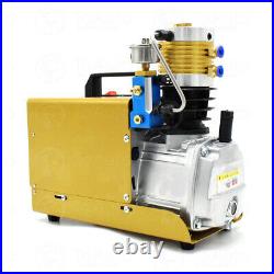 30MPa Air Compressor Auto Shut down Pump PCP Electric 4500PSI High Pressure 110V
