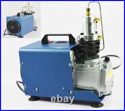30MPa Air Compressor Pump 110V Electric High Pressure Rifle Stainless Steel