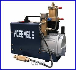 40mpa High Pressure Electric Air Pump PCP Air Compressor Pump 220V