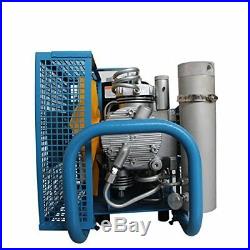 Air Cooling High Pressure Pump Gas-Powered Compressor PCP Airsoft Scuba Diving