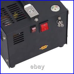 Fan Cooled High Pressure Air Compressor DC12V PCP Air Compressor 4500Psi 30Mpa