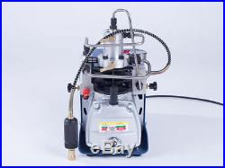 High Pressure 30Mpa Electric Compressor Pump PCP Electric Air Pump 220V A