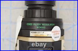 W3000-10-f1y / Filter High Pressure Air / Ckd Corporation